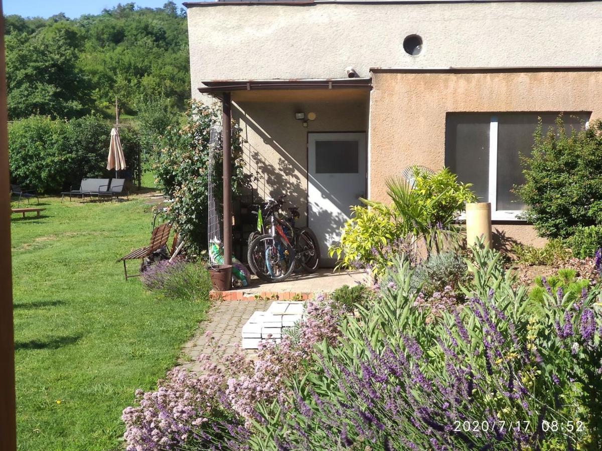 Apartman Lenka II Borsice 외부 사진